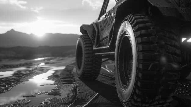 Maintenance Tips for Prolonging Tire Life in Harsh Conditions