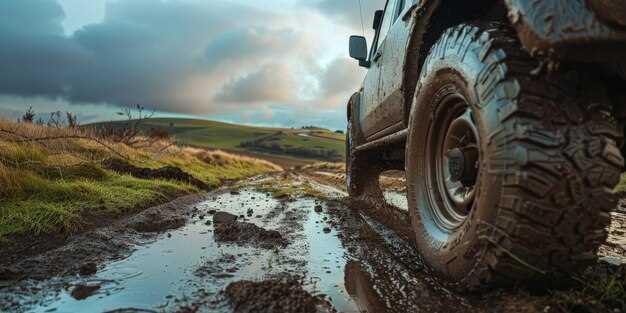 Best Tires for Off-Road and All-Terrain Adventures